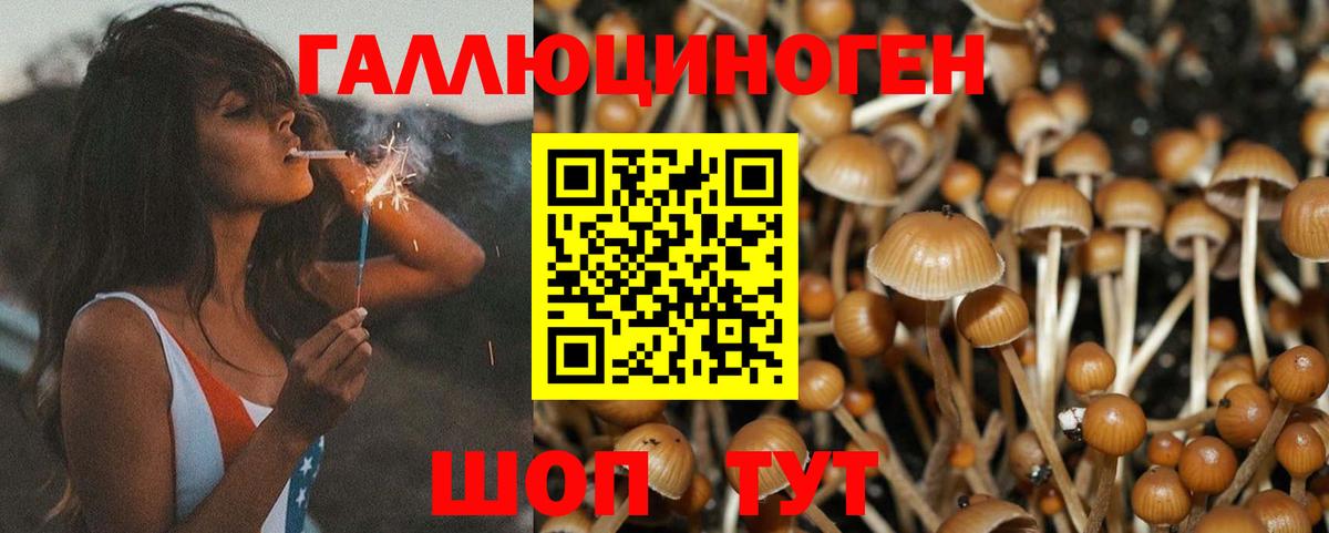 Галлюциногенные грибы прущие грибы  Вход с VPN  дарнет шоп  Муром 